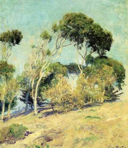 Windswept Trees Laguna A4 Photo Print