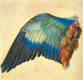 Wing of a Blaurake by Durer A4 Photo Print