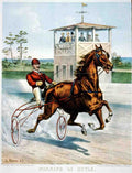 Winning In Style Horse 001 Vintage A4 Photo Print