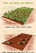Winter Garden Grow Vintage Retro Advert Poster A4 Photo Print