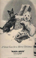 Winter Terriers Buchanan Vintage Retro Advert Ads A4 Photo Print