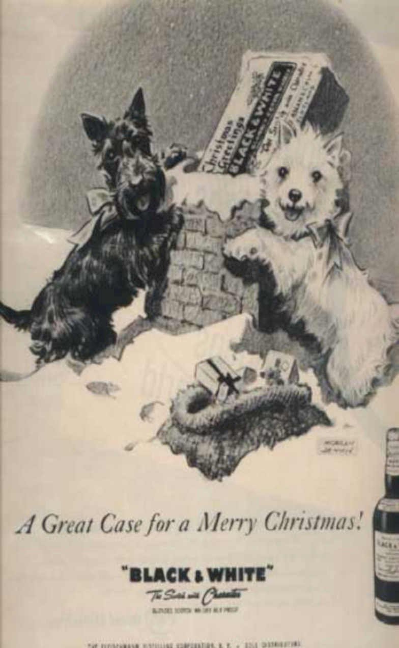 Winter Terriers Buchanan Vintage Retro Advert Ads A4 Photo Print