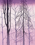 Winter Woods 1998 A4 Photo Print