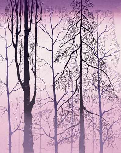 Winter Woods 1998 A4 Photo Print
