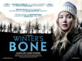 Wintersbone2 Vintage Retro Advert Poster A4 Photo Print