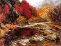 Wisinger Florian Olga A River In An Autumnal Landscape Art A4 Photo Print