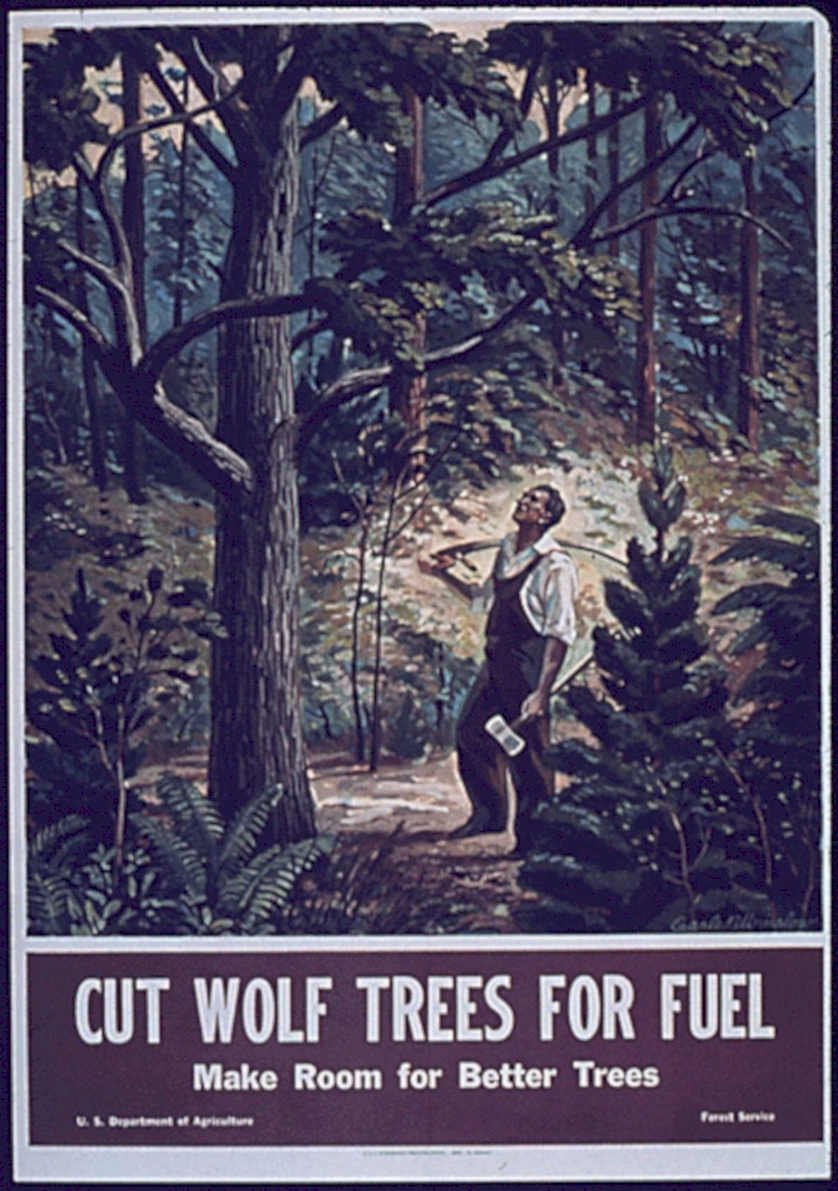 Wolf Trees Fuel Vintage Retro Advert Poster A4 Photo Print