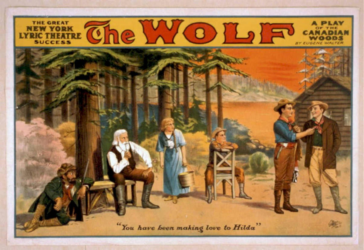 Wolf Woods Play Vintage Retro Advert Poster A4 Photo Print