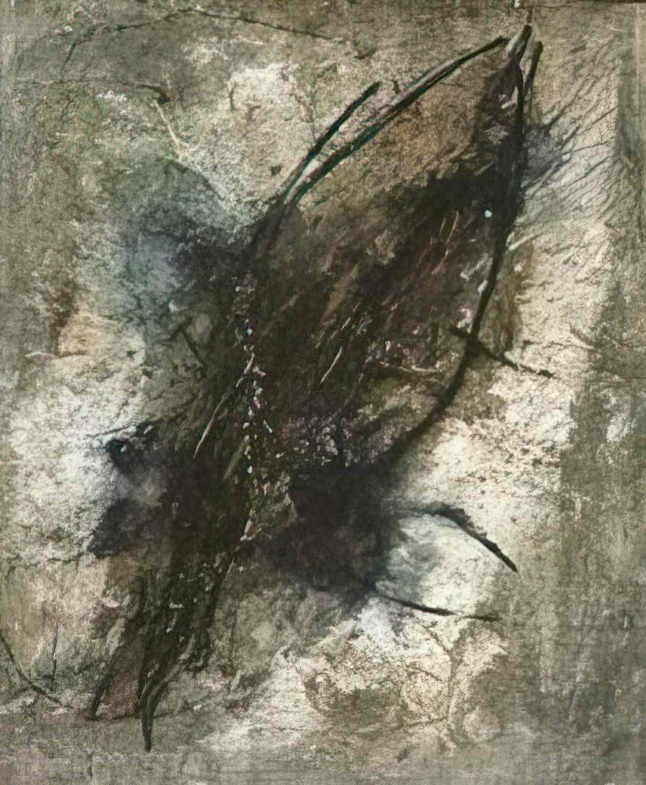 Wols aile de papillon Art A4 Photo Print