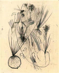 Wols planta tuberosa Art A4 Photo Print