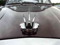 Wolseley Bonnet Grille Boot 2530 A4 Photo Print
