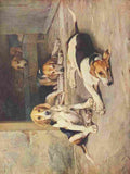 Wonder Book of Animals Wright Barker Puppy Days A4 Photo Print