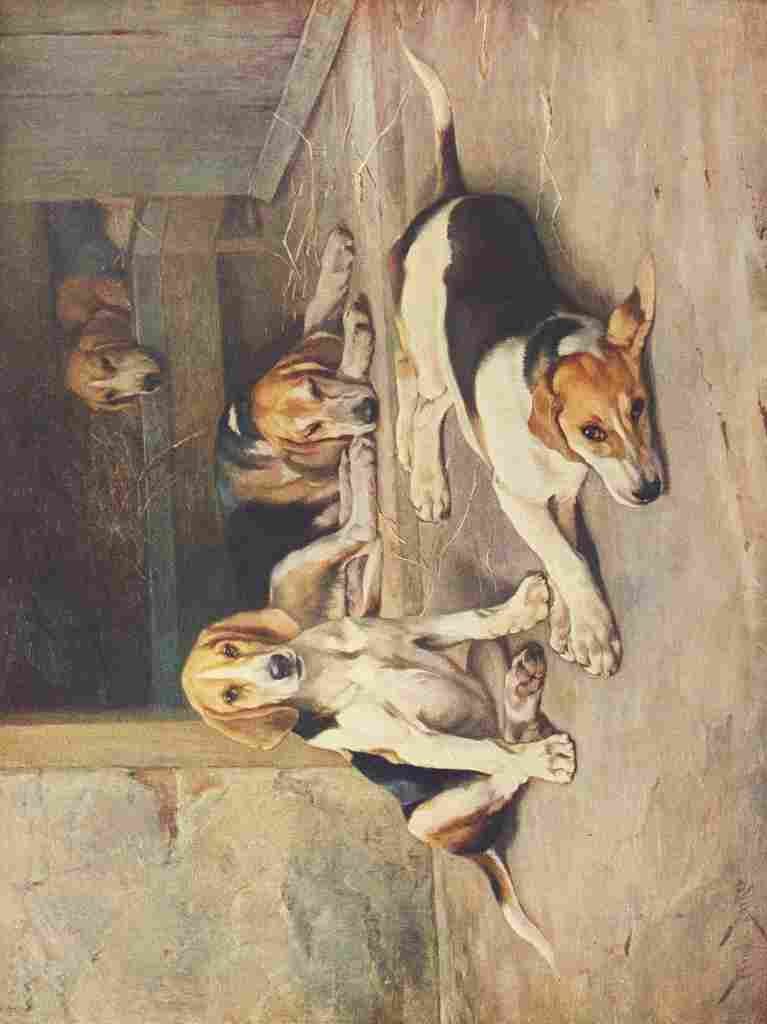 Wonder Book of Animals Wright Barker Puppy Days A4 Photo Print