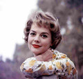 Wood Natalie 23 film star poster A4 Photo Print