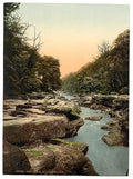 Woods the Strid Bolton Vintage A4 Photo Print