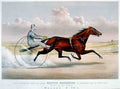 Woodward Horse 001 Vintage A4 Photo Print