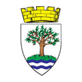 Worcestershire County Coat Of Arms N3968 A4 Photo Print