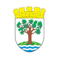 Worcestershire County Coat Of Arms N4026 A4 Photo Print