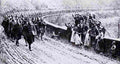 World War I 1062 Military A4 Photo Print