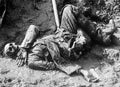 World War I 1130 Military A4 Photo Print