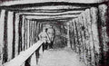 World War I 1201 Military A4 Photo Print