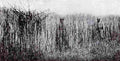 World War I 1209 Military A4 Photo Print