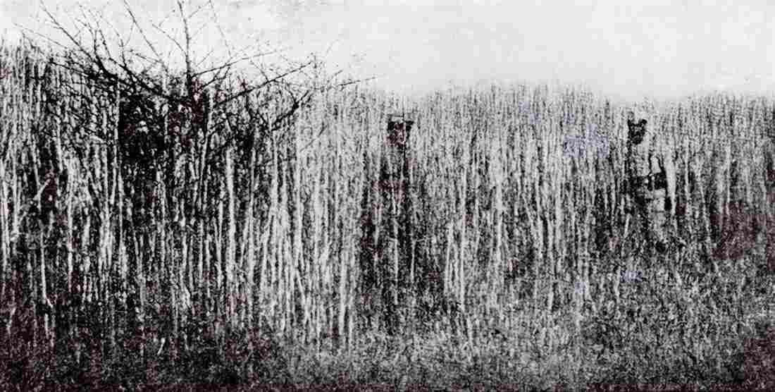 World War I 1209 Military A4 Photo Print