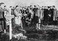 World War I 1217 Military A4 Photo Print