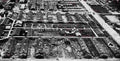 World War I 1230 Military A4 Photo Print
