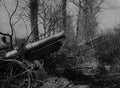 World War I 125 Military A4 Photo Print
