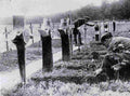 World War I 1354 Military A4 Photo Print