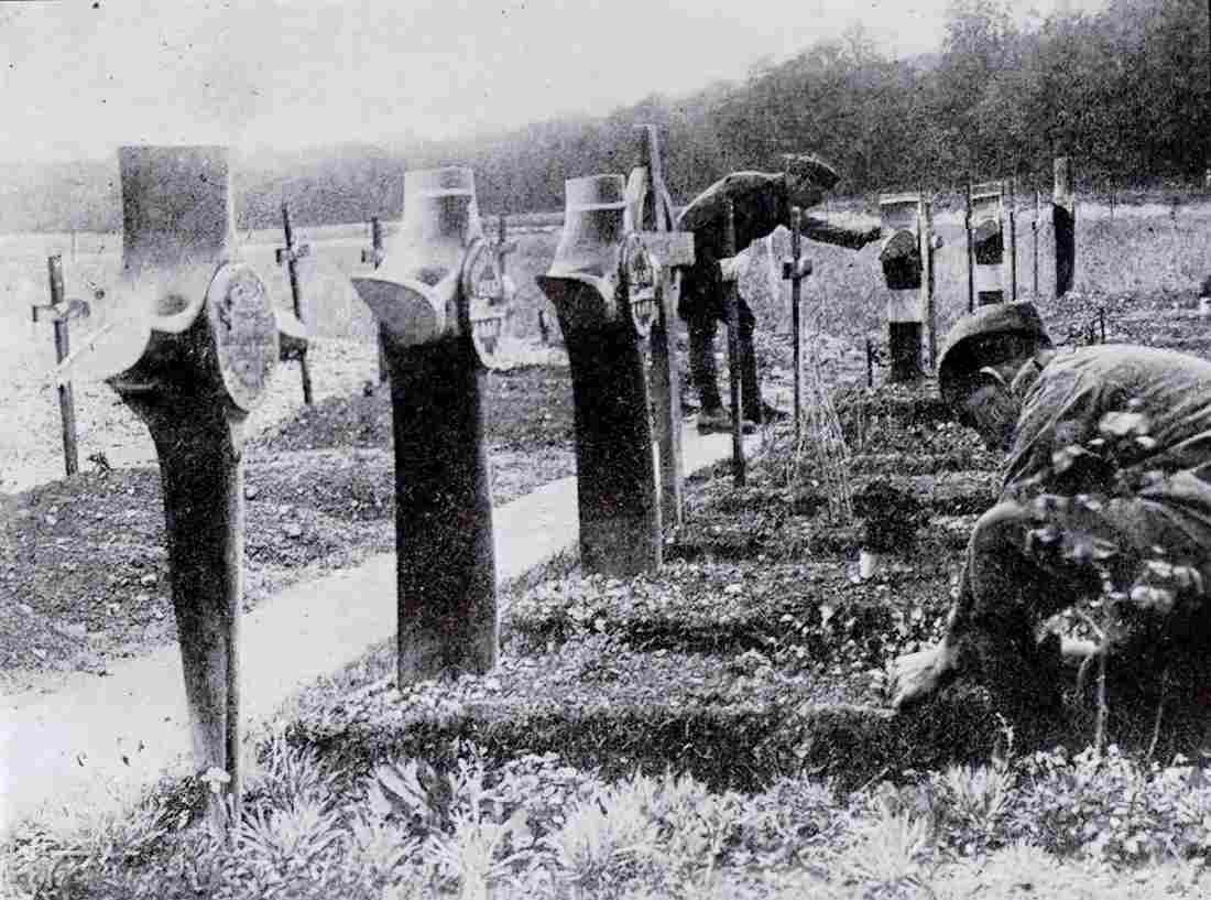 World War I 1354 Military A4 Photo Print