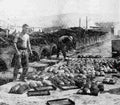 World War I 1372 Military A4 Photo Print