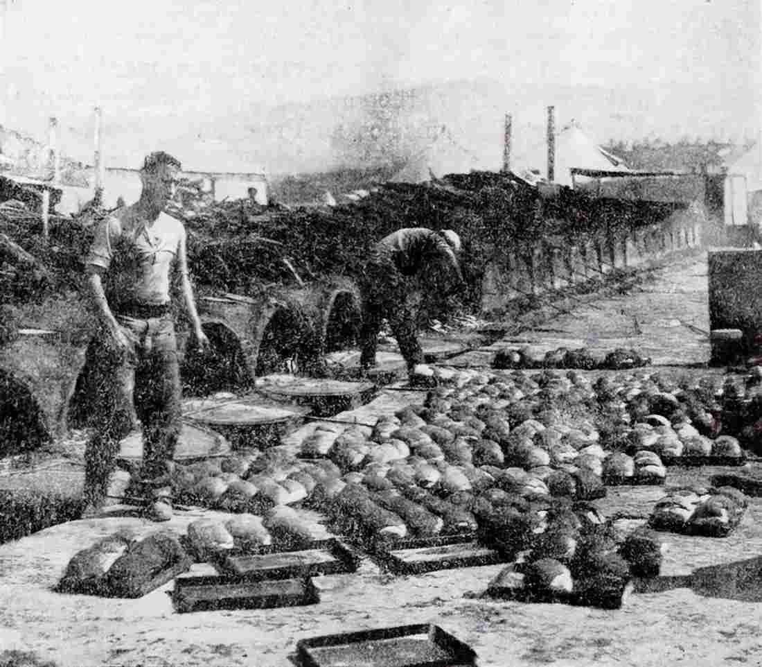 World War I 1372 Military A4 Photo Print