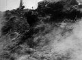 World War I 250 Military A4 Photo Print