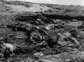 World War I 382 Military A4 Photo Print