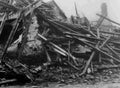 World War I 413 Military A4 Photo Print
