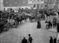 World War I 439 Military A4 Photo Print