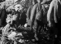 World War I 446 Military A4 Photo Print