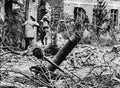 World War I 559 Military A4 Photo Print