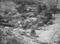 World War I 564 Military A4 Photo Print