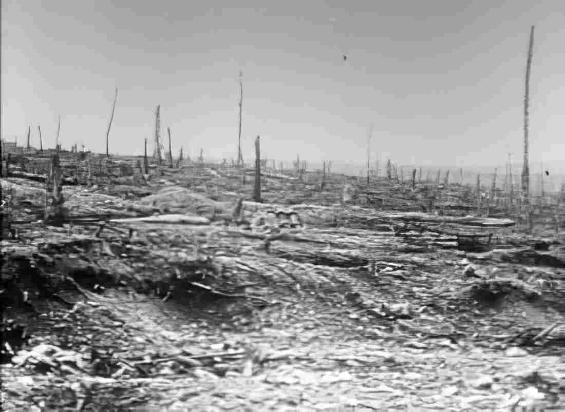 World War I 624 Military A4 Photo Print