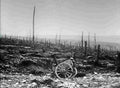 World War I 625 Military A4 Photo Print