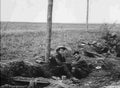 World War I 633 Military A4 Photo Print