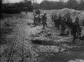 World War I 666 Military A4 Photo Print