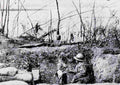 World War I 905 Military A4 Photo Print