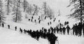 World War I 906 Military A4 Photo Print