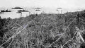 World War I 981 Military A4 Photo Print