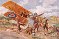 World War I Downed British Aircraft Military A4 Photo Print