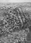 World War II 087 Military A4 Photo Print